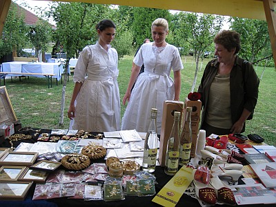 slavonicaart 2011-1